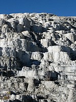Yellowstone Mammoth Hotsprings Minerva terrace (3).JPG